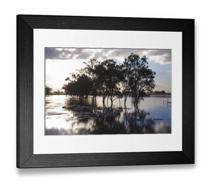Framed Print : Trees & flooded creek, near Rockhampton, Queensland, Australia Framed Print : Trees & flooded creek, near Rockhampton, Queensland, Australia