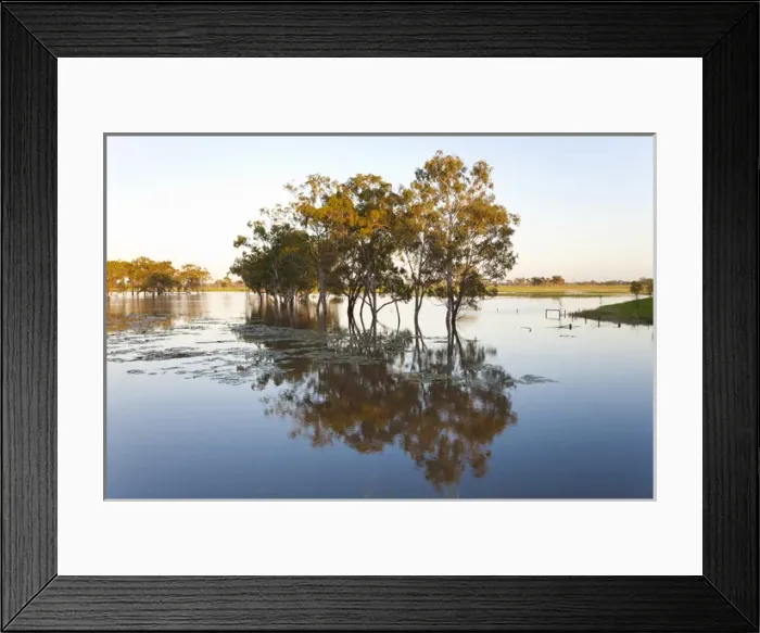 Framed Print : Trees & flooded creek, near Rockhampton, Queensland, Australia