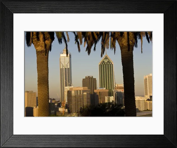 Framed Print : View of the Perth Central Business District skyline from Kings Park, Western Australia, Australia Framed Print : View of the Perth Central Business District skyline from Kings Park, Western Australia, Australia