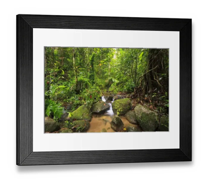 Framed Print : Josephine Falls is one of the most popular sets of waterfalls on the south side of Cairns Framed Print : Josephine Falls is one of the most popular sets of waterfalls on the south side of Cairns
