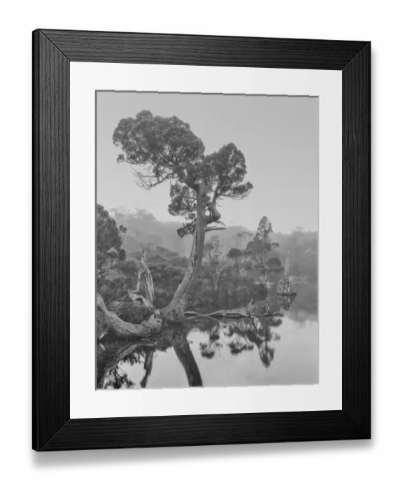 Framed Print : Asia Australia Tasmania Cradle Mountain National Park Wombat Pool Framed Print : Asia Australia Tasmania Cradle Mountain National Park Wombat Pool