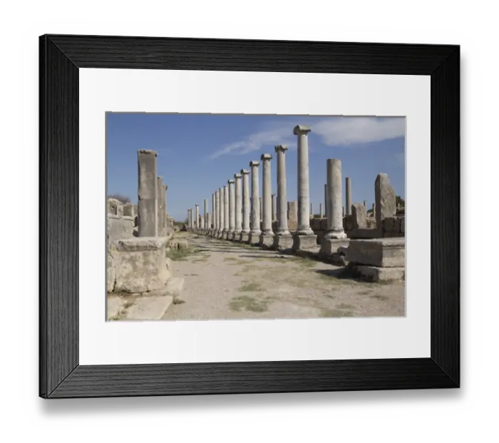 Framed Print : Asia, Turkey, Perge. Perga or Perge was an ancient Anatolian city in modern Turkey Framed Print : Asia, Turkey, Perge. Perga or Perge was an ancient Anatolian city in modern Turkey
