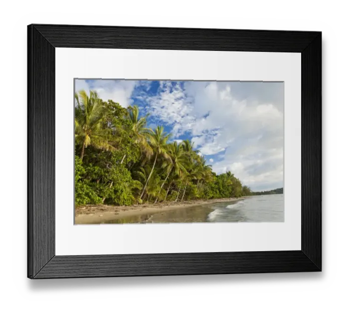 Framed Print : Beach, Cape Tribulation, Daintree National Park, Queensland, Australia