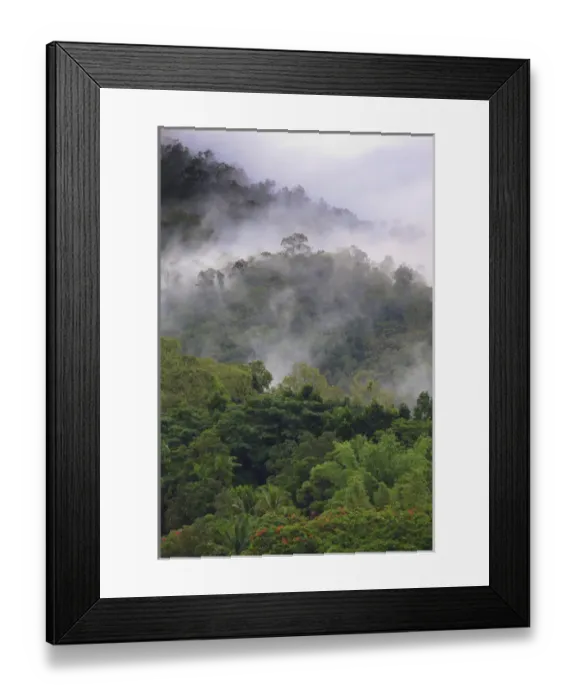 Framed Print : Thick cloud covers the tropical rainforest covered mountains that surround Cairns Framed Print : Thick cloud covers the tropical rainforest covered mountains that surround Cairns