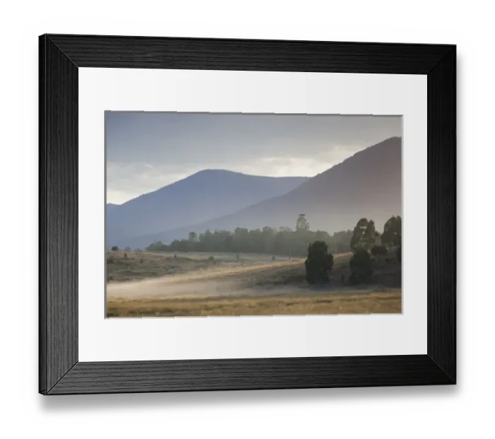 Framed Print : Australia, Victoria, VIC, Yarra Valley, Helaesville, field with fog, dawn Framed Print : Australia, Victoria, VIC, Yarra Valley, Helaesville, field with fog, dawn