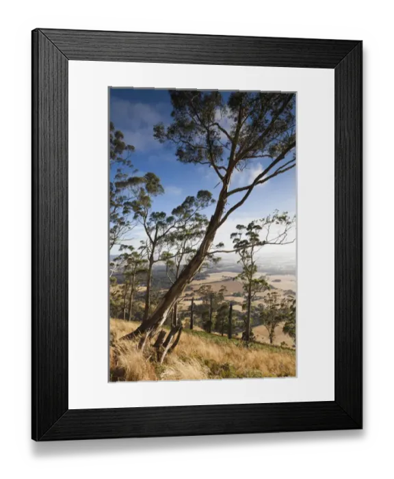 Framed Print : Australia, Victoria, VIC, Buninyong, elevated view of landscape from Mount Buninyong