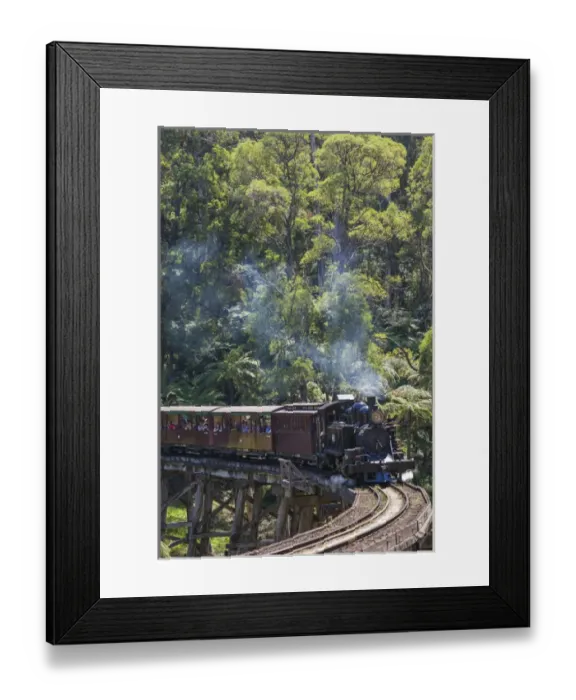 Framed Print : Australia, Victoria, VIC, The Dandenong Ranges, Belgrave, Puffing Billy steam train
