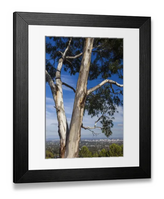 Framed Print : Australia, South Australia, Adelaide Hills, Crafers, elevated skyline of Adelaide Framed Print : Australia, South Australia, Adelaide Hills, Crafers, elevated skyline of Adelaide