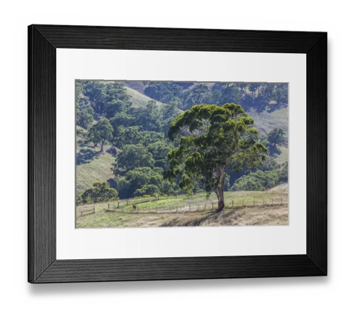 Framed Print : Australia, South Australia, Adelaide Hills, landscape Framed Print : Australia, South Australia, Adelaide Hills, landscape
