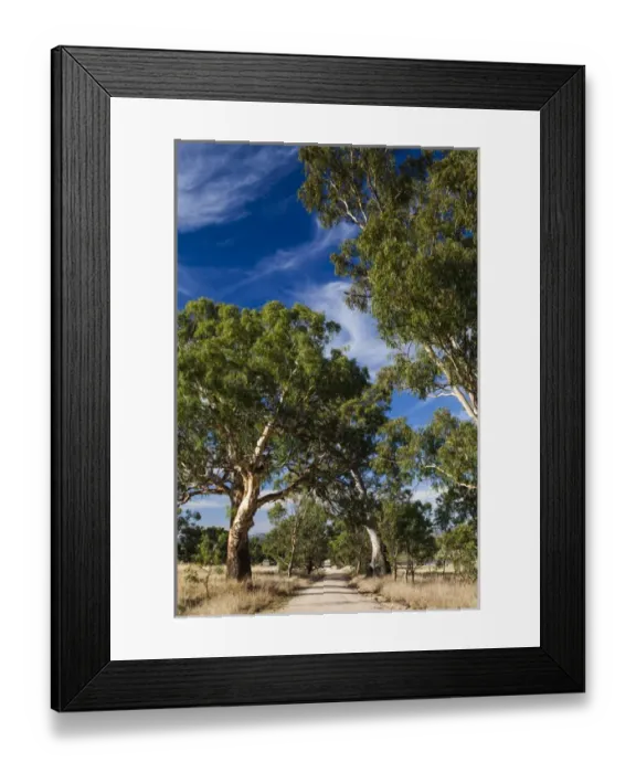 Framed Print : Australia, South Australia, Barossa Valley, Mount Pleasant, country road Framed Print : Australia, South Australia, Barossa Valley, Mount Pleasant, country road