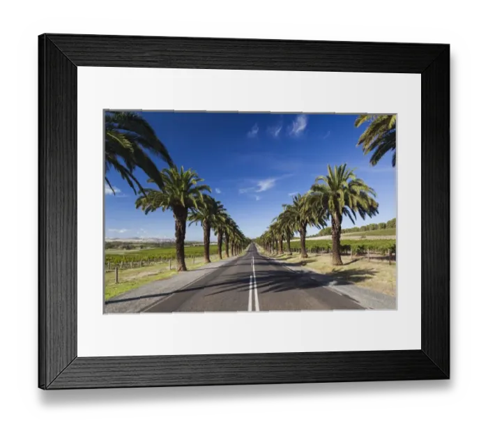 Framed Print : Australia, South Australia, Barossa Valley, Seppeltsfield, country road with palm trees