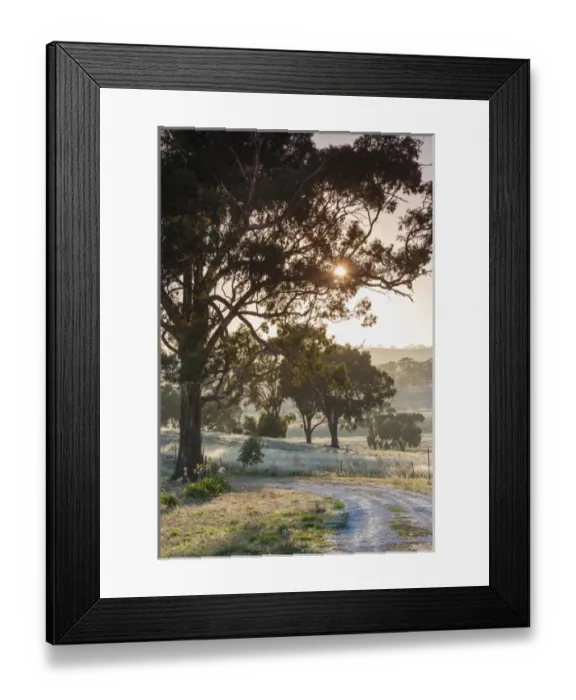 Framed Print : Australia, South Australia, Clare Valley, Clare, gum trees by Brooks Lookout, dawn Framed Print : Australia, South Australia, Clare Valley, Clare, gum trees by Brooks Lookout, dawn