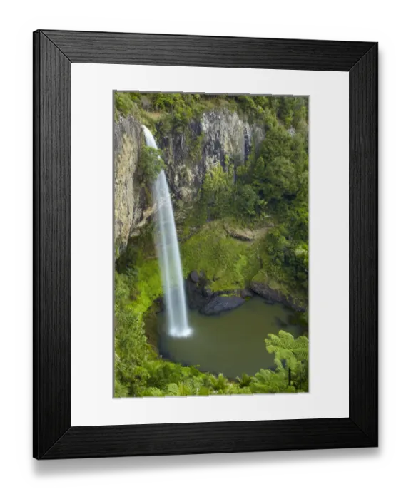 Framed Print : Bridal Veil Falls, near Raglan, Waikato, North Island, New Zealand Framed Print : Bridal Veil Falls, near Raglan, Waikato, North Island, New Zealand