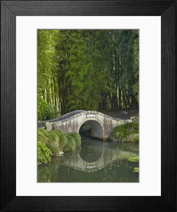 Framed Print : Chinese Scholars Garden, Hamilton Gardens, Hamilton, Waikato, North Island Framed Print : Chinese Scholars Garden, Hamilton Gardens, Hamilton, Waikato, North Island