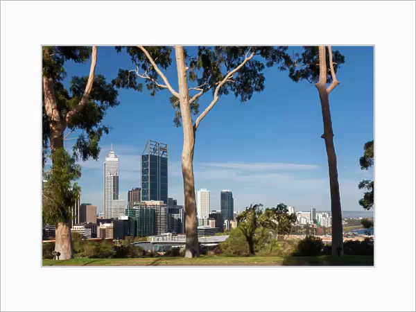 Australia, Western Australia, Perth, city skyline from Kings Park, late afternoon