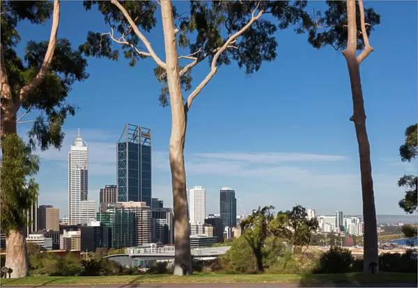 Australia, Western Australia, Perth, city skyline from Kings Park, late afternoon