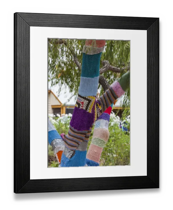 Framed Print : Australia, Western Australia, The Southwest, Nannup, weaving covered tree Framed Print : Australia, Western Australia, The Southwest, Nannup, weaving covered tree