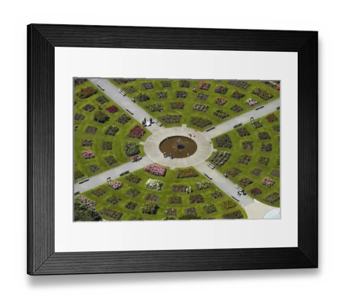 Framed Print : Lady Norwood Rose Garden, Wellington Botanic Garden, Wellington, North Island, New Framed Print : Lady Norwood Rose Garden, Wellington Botanic Garden, Wellington, North Island, New