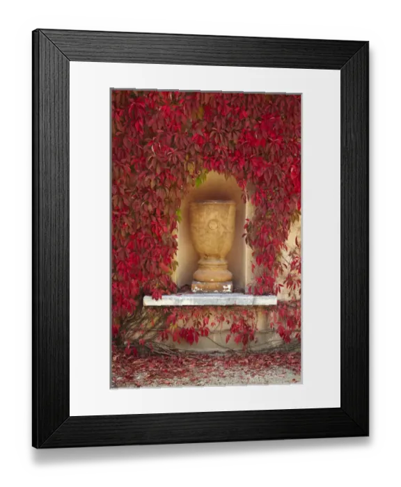 Framed Print : Autumn colour at the Italian Renaissance Garden, Hamilton Gardens, Hamilton, Waikato