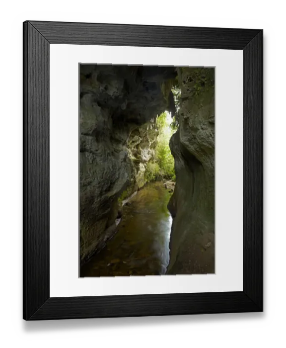 Framed Print : Mangapohue Natural Bridge, Waitomo District, Waikato, North Island, New Zealand Framed Print : Mangapohue Natural Bridge, Waitomo District, Waikato, North Island, New Zealand