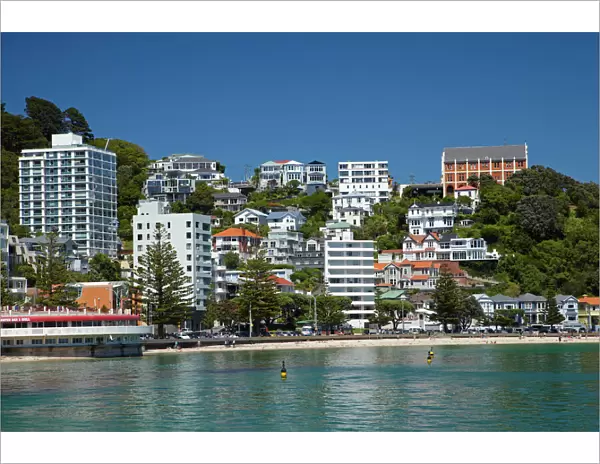 Monastery of St Gerard (on hill) and Bluewater Bar & Grill, Oriental Bay (waterfront)