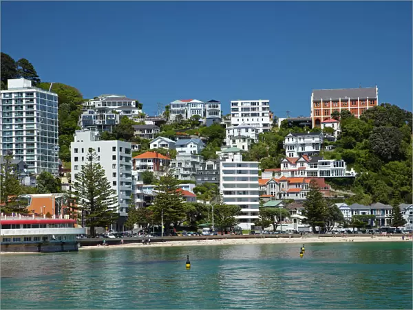 Monastery of St Gerard (on hill) and Bluewater Bar & Grill, Oriental Bay (waterfront)