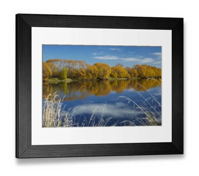 Framed Print : Autumn colour and Clutha River at Kaitangata, near Balclutha, South Otago, South Island Framed Print : Autumn colour and Clutha River at Kaitangata, near Balclutha, South Otago, South Island
