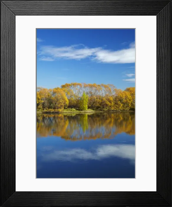 Framed Print : Autumn colour and Clutha River at Kaitangata, near Balclutha, South Otago, South Island Framed Print : Autumn colour and Clutha River at Kaitangata, near Balclutha, South Otago, South Island