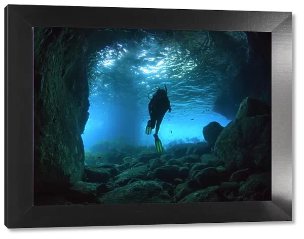 Diver swimming through a sea cave near Poor Knights Islands, North Island, New Zealand