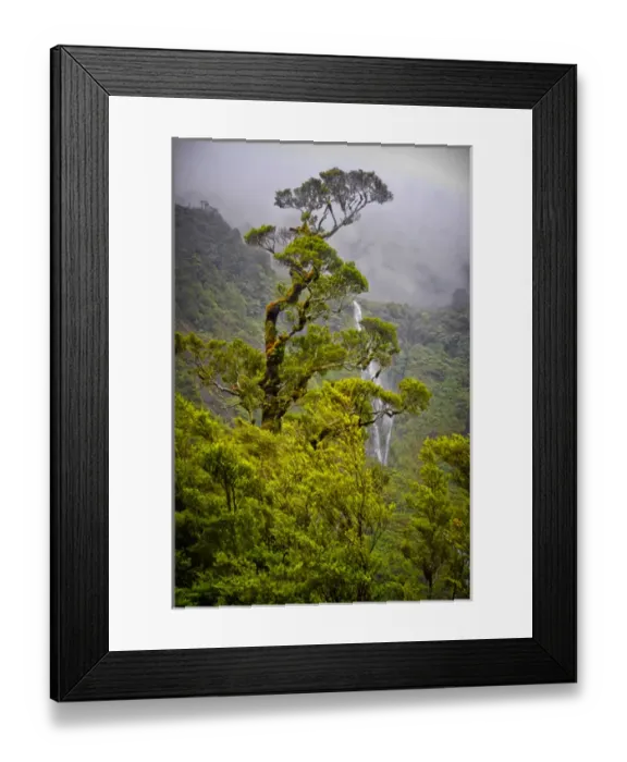 Framed Print : New Zealand, South Island, Fiordland National Park, Doubtful Sound, Wilmot Pass Road