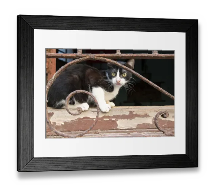 Framed Print : North America, Latin America, Caribbean, Cuba, Vieja Havans street scenes Framed Print : North America, Latin America, Caribbean, Cuba, Vieja Havans street scenes