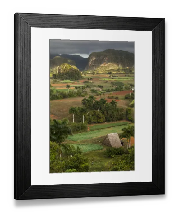 Framed Print : Cuba, Vinales. An elevated view over the valley and its fields and farms Framed Print : Cuba, Vinales. An elevated view over the valley and its fields and farms