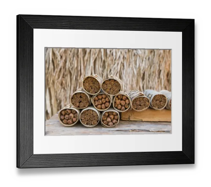 Framed Print : North America, Latin America, Caribbean, Cuba, Vinales Valley, stunning landscapes Framed Print : North America, Latin America, Caribbean, Cuba, Vinales Valley, stunning landscapes