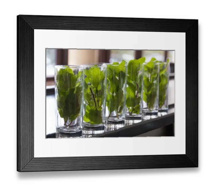 Framed Print : North America, Latin America, Caribbean, Cuba, Havans Hotel Nacional de Cuba Framed Print : North America, Latin America, Caribbean, Cuba, Havans Hotel Nacional de Cuba