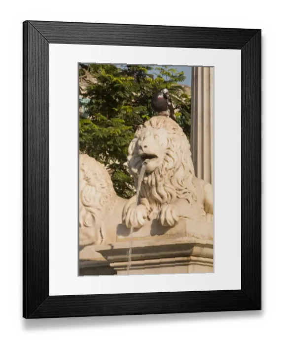 Framed Print : North America, Latin America, Caribbean, Cuba, Havana. Lion fountain near Plaza de Armes