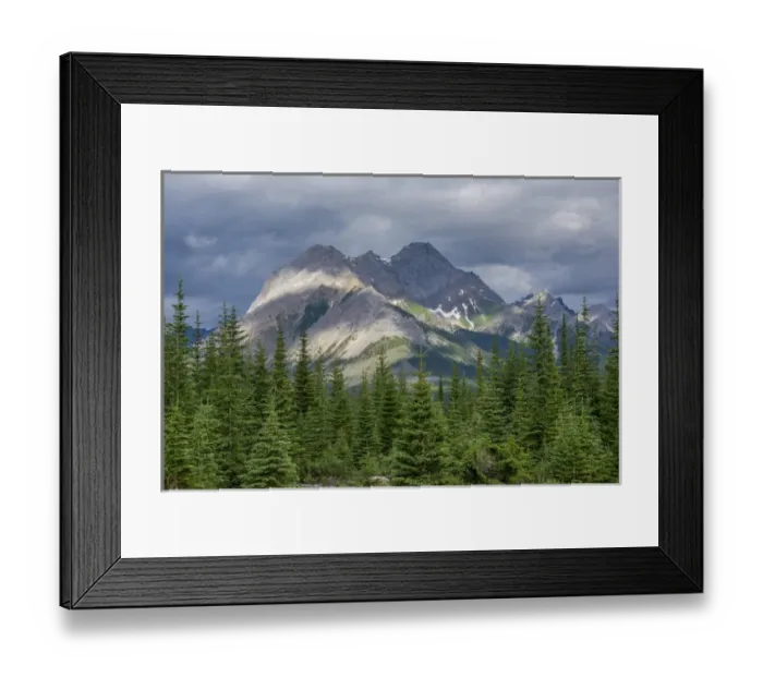 Framed Print : Assiniboine Park, Canada Framed Print : Assiniboine Park, Canada
