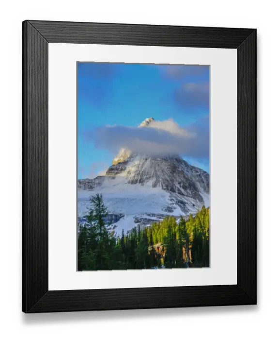 Framed Print : Mount Assiniboine seen from Sunburst Lake Framed Print : Mount Assiniboine seen from Sunburst Lake