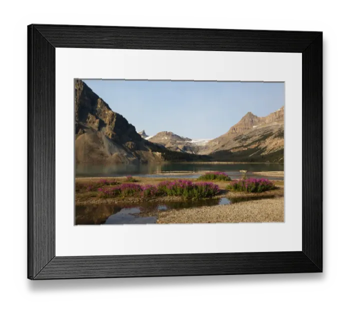 Framed Print : Canada, Alberta, Jasper National Park, Bow Lake with Bow Glacier and Bow Glacier Falls