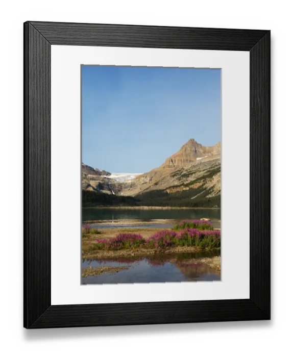 Framed Print : Canada, Alberta, Jasper National Park, Bow Lake with Bow Glacier and Bow Glacier Falls Framed Print : Canada, Alberta, Jasper National Park, Bow Lake with Bow Glacier and Bow Glacier Falls