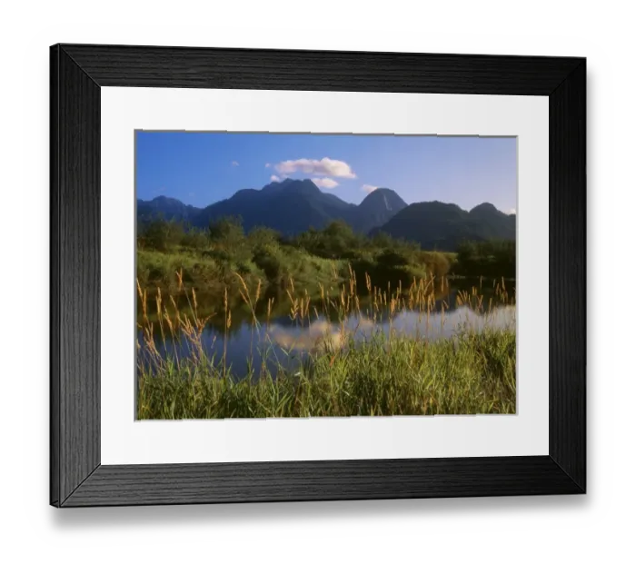 Framed Print : Canada, British Columbia, View of Pitt Addington Wildlife Management Area near Pitt Framed Print : Canada, British Columbia, View of Pitt Addington Wildlife Management Area near Pitt