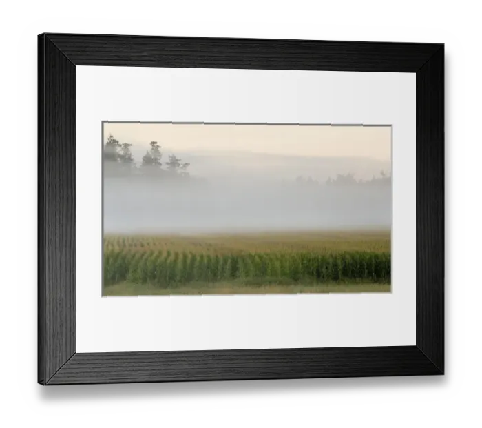 Framed Print : Canada, British Columbia, Vancouver Island, Cowichan Valley Framed Print : Canada, British Columbia, Vancouver Island, Cowichan Valley