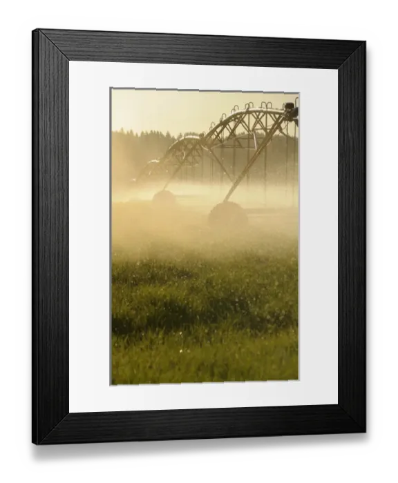 Framed Print : Canada, British Columbia, Vancouver Island, Cowichan Valley Framed Print : Canada, British Columbia, Vancouver Island, Cowichan Valley