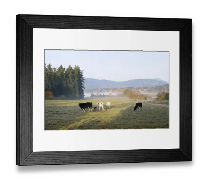 Framed Print : Canada, British Columbia, Vancouver Island, Cowichan Valley Framed Print : Canada, British Columbia, Vancouver Island, Cowichan Valley