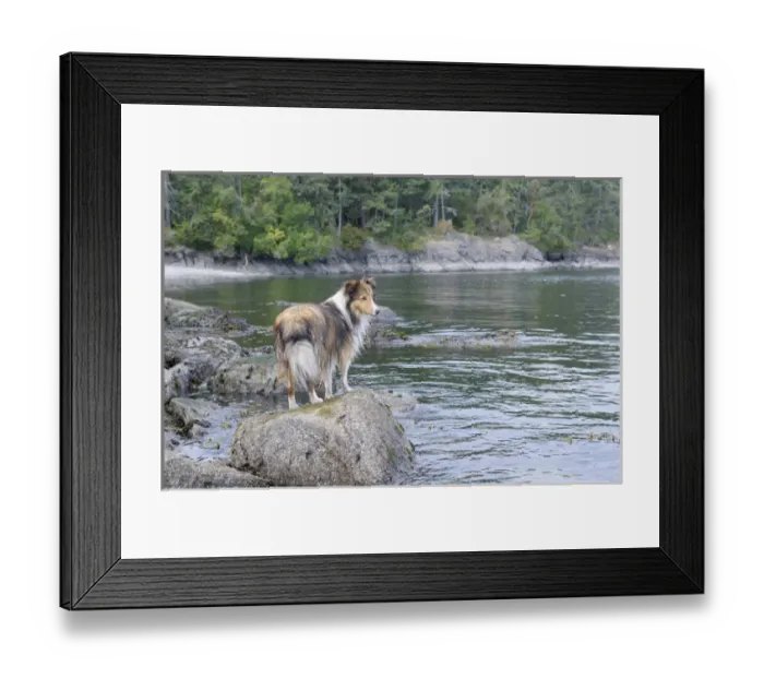 Framed Print : Canada, British Columbia, Gulf Islands, Portland Island