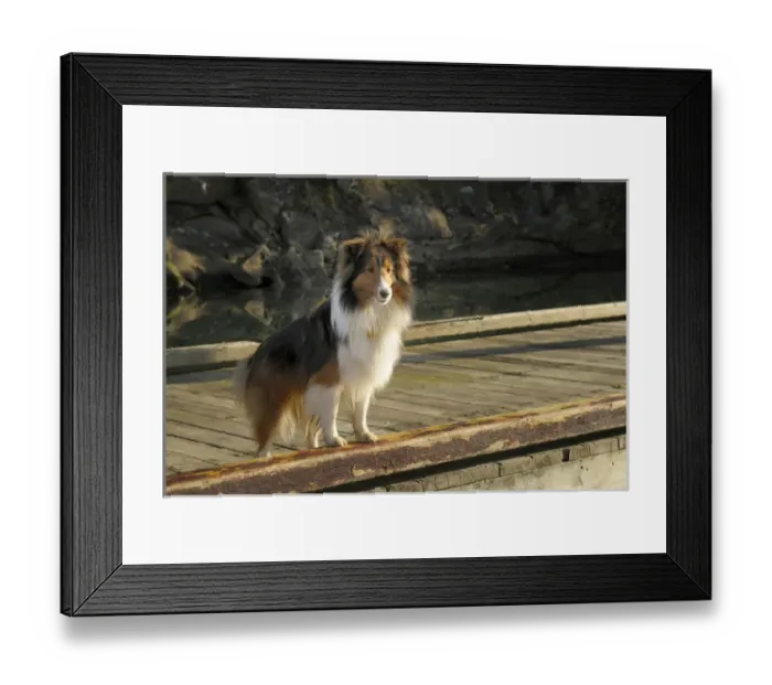 Framed Print : Canada, British Columbia, Gulf Islands, Wallace Island Framed Print : Canada, British Columbia, Gulf Islands, Wallace Island