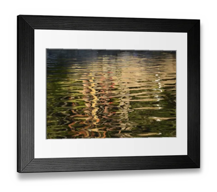 Framed Print : Canada, British Columbia, Gulf Islands, Wallace Island. Trees reflected in the ocean Framed Print : Canada, British Columbia, Gulf Islands, Wallace Island. Trees reflected in the ocean