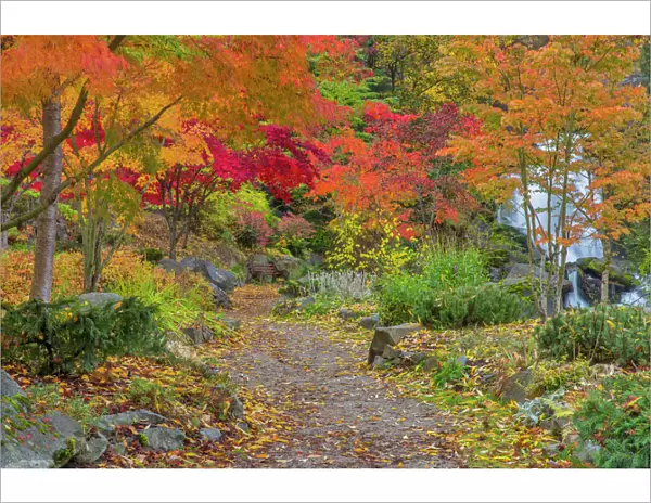 Pathway leads to park bench and Cottonwood Falls in autumn at Japanese Gardens in Nelson