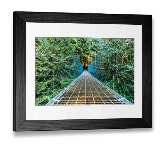 Framed Print : Suspension bridge on Vancouver Island, B. C Framed Print : Suspension bridge on Vancouver Island, B. C