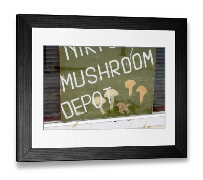 Framed Print : Canada, British Columbia, Vancouver Island. Mushroom Depot sign, Lake Cowichan Framed Print : Canada, British Columbia, Vancouver Island. Mushroom Depot sign, Lake Cowichan