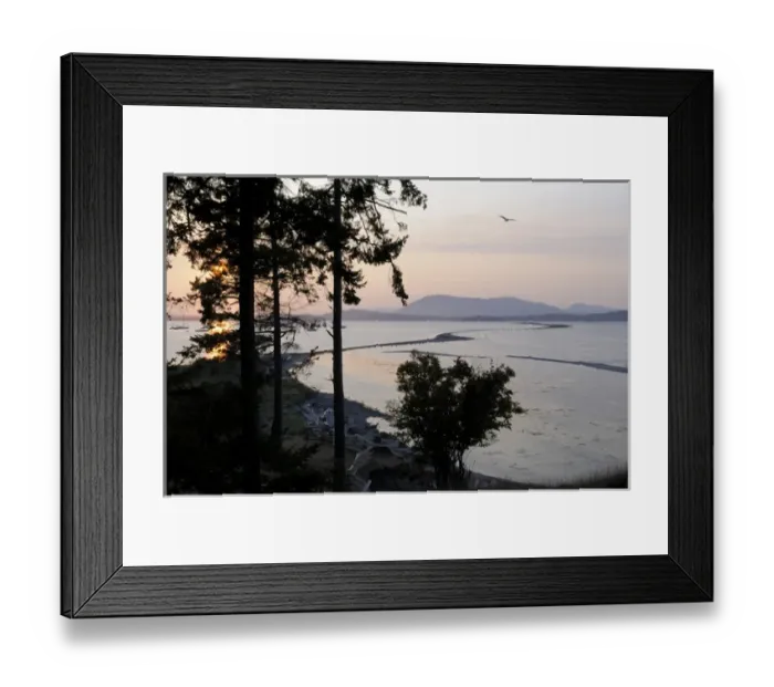 Framed Print : North America, Canada, British Columbia, Sidney Island Framed Print : North America, Canada, British Columbia, Sidney Island